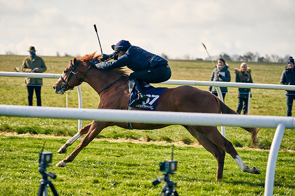 2021-04-12-Dominic-James-Craven-Breeze-Up-Sales-0068