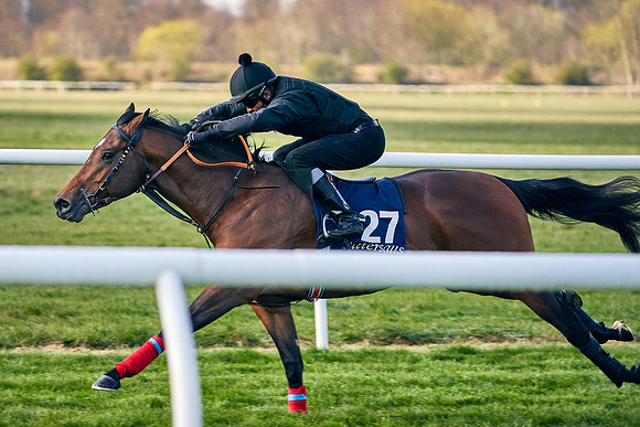 2021-04-12-Dominic-James-Craven-Breeze-Up-Sales-0073
