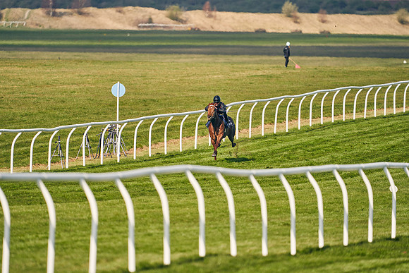 2021-04-12-Dominic-James-Craven-Breeze-Up-Sales-0081
