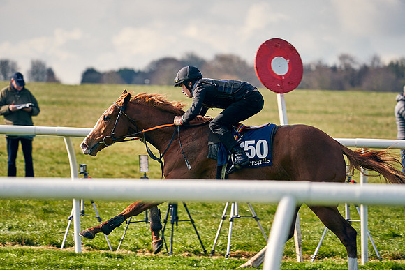 2021-04-12-Dominic-James-Craven-Breeze-Up-Sales-0023