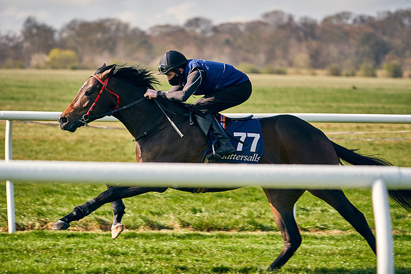 2021-04-12-Dominic-James-Craven-Breeze-Up-Sales-0014