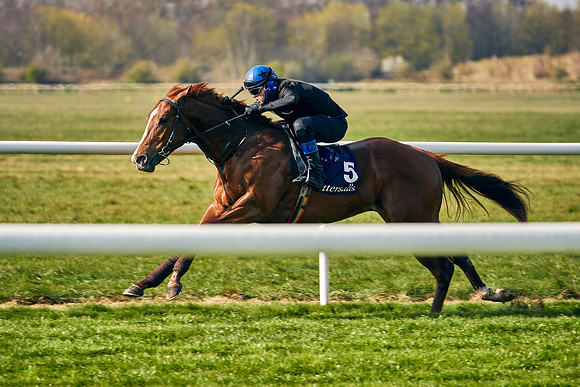 2021-04-12-Dominic-James-Craven-Breeze-Up-Sales-0098