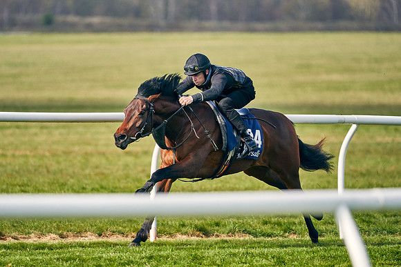 2021-04-12-Dominic-James-Craven-Breeze-Up-Sales-0137