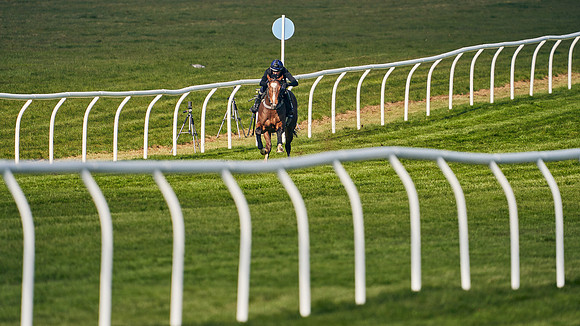 2021-04-12-Dominic-James-Craven-Breeze-Up-Sales-0042