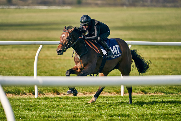 2021-04-12-Dominic-James-Craven-Breeze-Up-Sales-0092