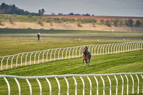 2021-04-12-Dominic-James-Craven-Breeze-Up-Sales-0157