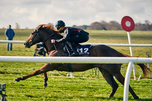 2021-04-12-Dominic-James-Craven-Breeze-Up-Sales-0090