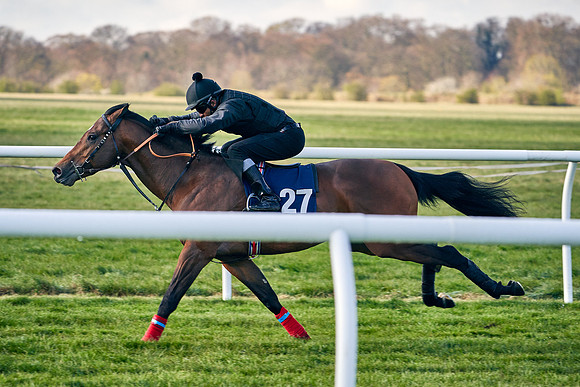 2021-04-12-Dominic-James-Craven-Breeze-Up-Sales-0076