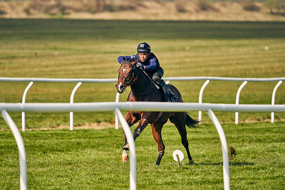 2021-04-12-Dominic-James-Craven-Breeze-Up-Sales-0190