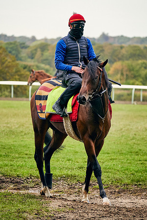 9th-Oct-Dominic-James-01088