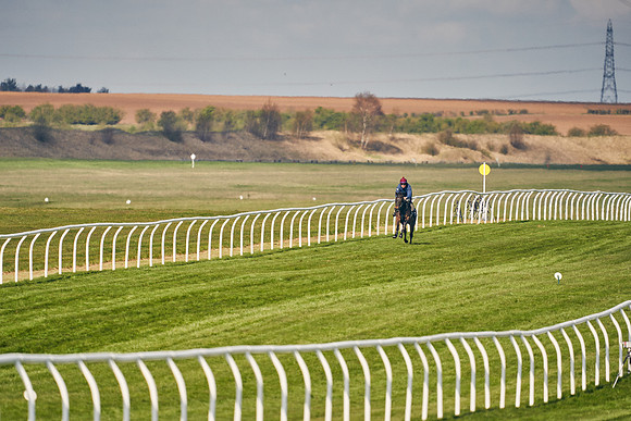 2021-04-12-Dominic-James-Craven-Breeze-Up-Sales-0147
