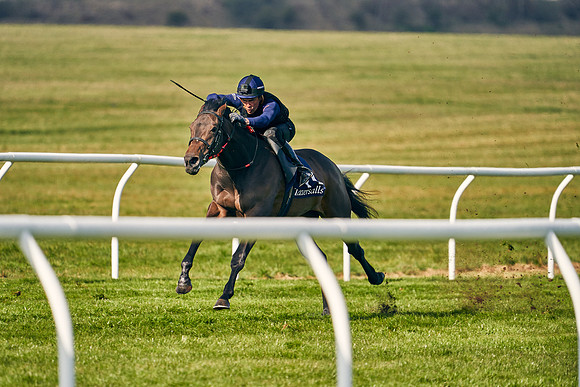 2021-04-12-Dominic-James-Craven-Breeze-Up-Sales-0120