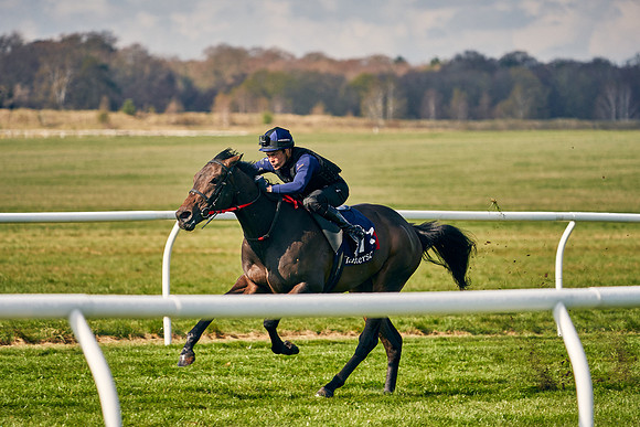 2021-04-12-Dominic-James-Craven-Breeze-Up-Sales-0123