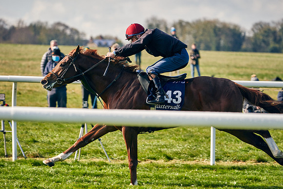 2021-04-12-Dominic-James-Craven-Breeze-Up-Sales-0040