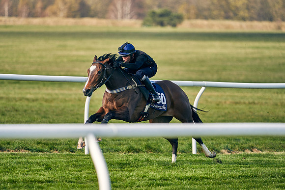 2021-04-12-Dominic-James-Craven-Breeze-Up-Sales-0043