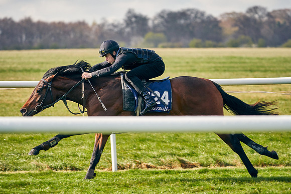 2021-04-12-Dominic-James-Craven-Breeze-Up-Sales-0141