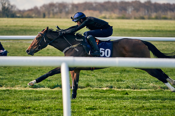 2021-04-12-Dominic-James-Craven-Breeze-Up-Sales-0048