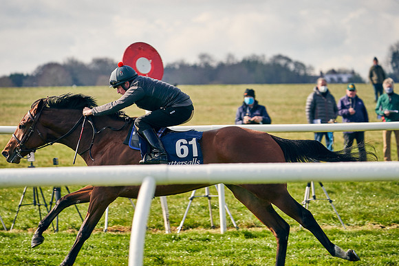2021-04-12-Dominic-James-Craven-Breeze-Up-Sales-0164