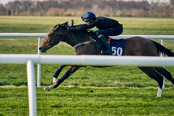 2021-04-12-Dominic-James-Craven-Breeze-Up-Sales-0047