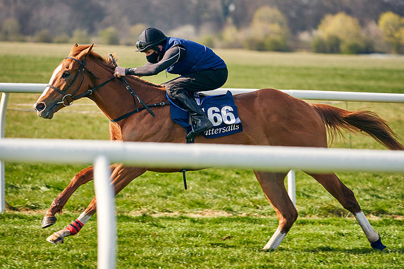 2021-04-12-Dominic-James-Craven-Breeze-Up-Sales-0113