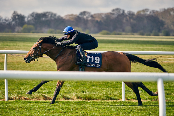 2021-04-12-Dominic-James-Craven-Breeze-Up-Sales-0184