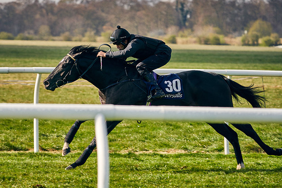 2021-04-12-Dominic-James-Craven-Breeze-Up-Sales-0175