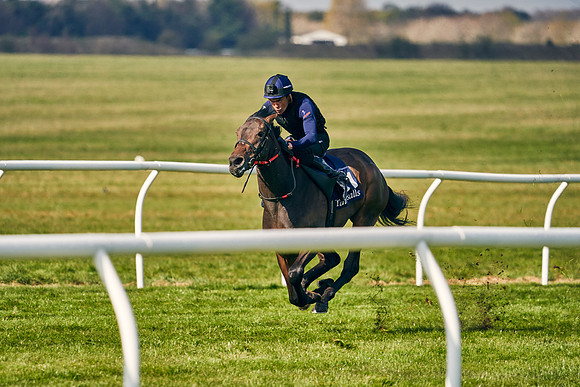 2021-04-12-Dominic-James-Craven-Breeze-Up-Sales-0121