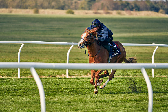 2021-04-12-Dominic-James-Craven-Breeze-Up-Sales-0057