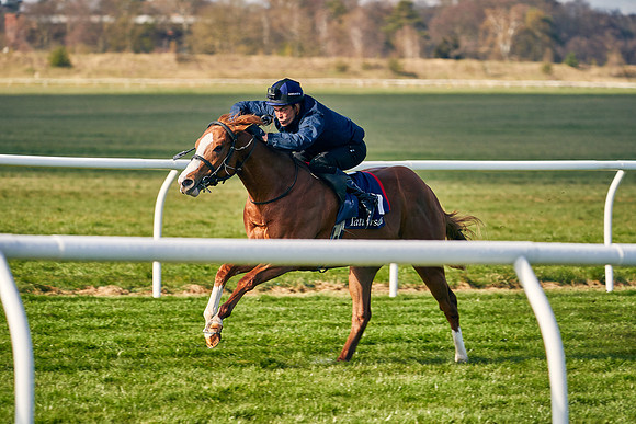 2021-04-12-Dominic-James-Craven-Breeze-Up-Sales-0058