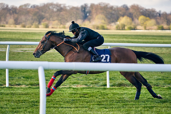 2021-04-12-Dominic-James-Craven-Breeze-Up-Sales-0074