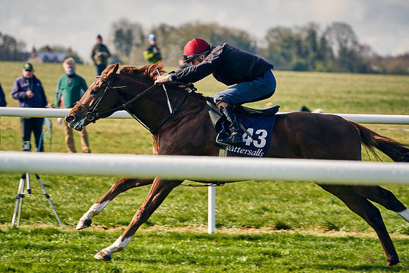 2021-04-12-Dominic-James-Craven-Breeze-Up-Sales-0039