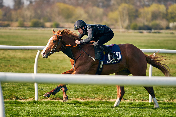 2021-04-12-Dominic-James-Craven-Breeze-Up-Sales-0021