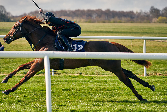 2021-04-12-Dominic-James-Craven-Breeze-Up-Sales-0088