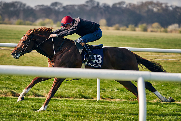 2021-04-12-Dominic-James-Craven-Breeze-Up-Sales-0036