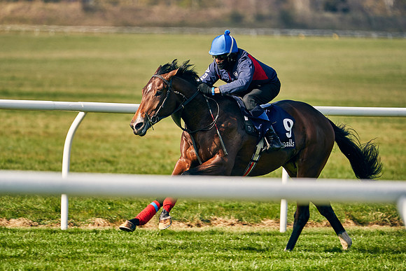 2021-04-12-Dominic-James-Craven-Breeze-Up-Sales-0024