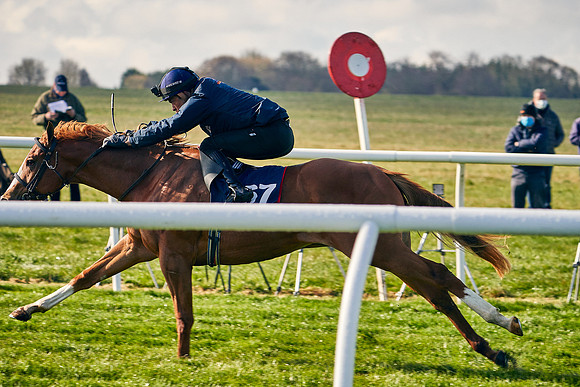 2021-04-12-Dominic-James-Craven-Breeze-Up-Sales-0067