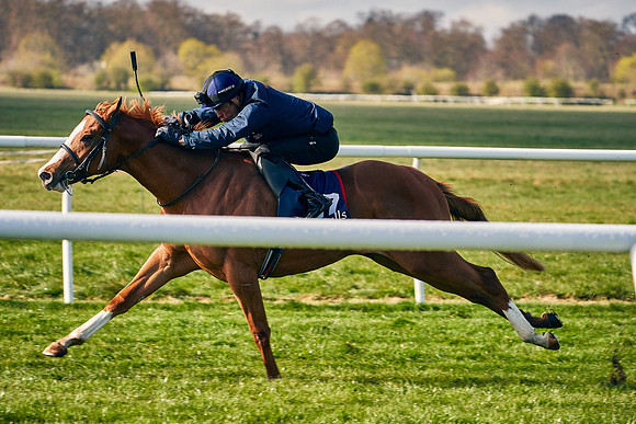 2021-04-12-Dominic-James-Craven-Breeze-Up-Sales-0063