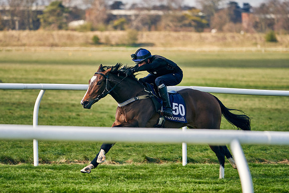 2021-04-12-Dominic-James-Craven-Breeze-Up-Sales-0044
