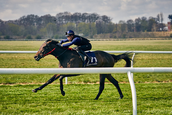 2021-04-12-Dominic-James-Craven-Breeze-Up-Sales-0126