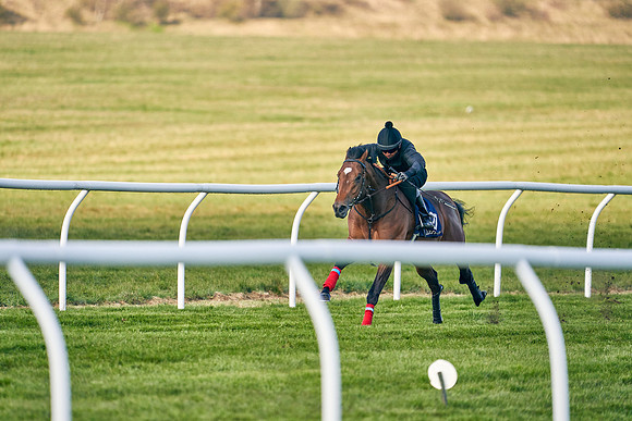 2021-04-12-Dominic-James-Craven-Breeze-Up-Sales-0070