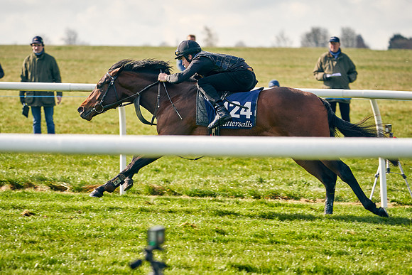 2021-04-12-Dominic-James-Craven-Breeze-Up-Sales-0145