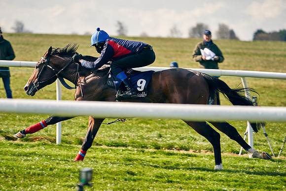2021-04-12-Dominic-James-Craven-Breeze-Up-Sales-0031