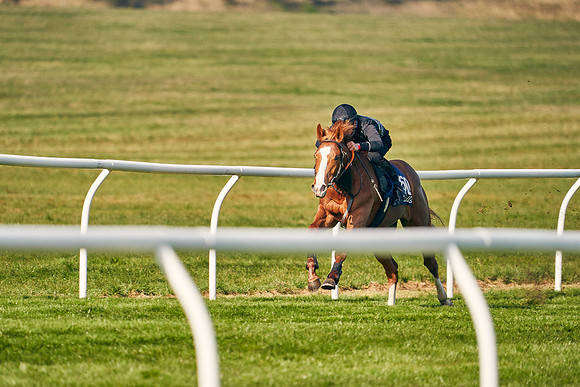 2021-04-12-Dominic-James-Craven-Breeze-Up-Sales-0018