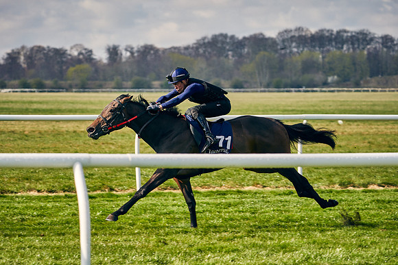 2021-04-12-Dominic-James-Craven-Breeze-Up-Sales-0128