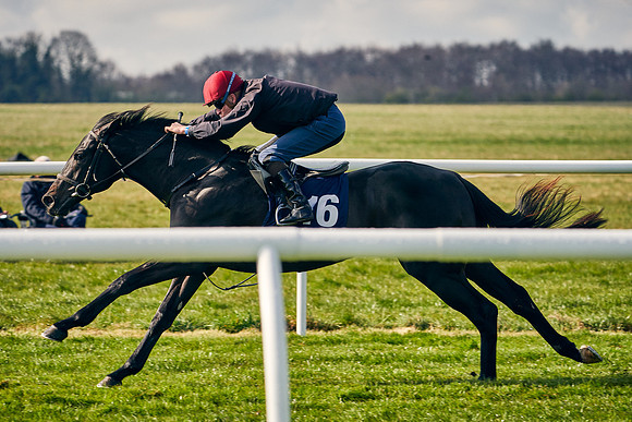 2021-04-12-Dominic-James-Craven-Breeze-Up-Sales-0169