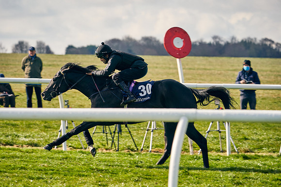 2021-04-12-Dominic-James-Craven-Breeze-Up-Sales-0179