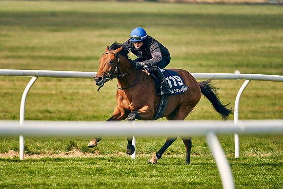 2021-04-12-Dominic-James-Craven-Breeze-Up-Sales-0181