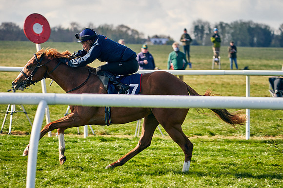 2021-04-12-Dominic-James-Craven-Breeze-Up-Sales-0066