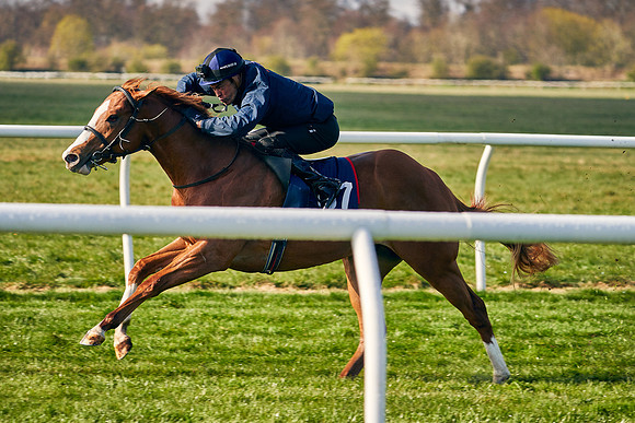 2021-04-12-Dominic-James-Craven-Breeze-Up-Sales-0061