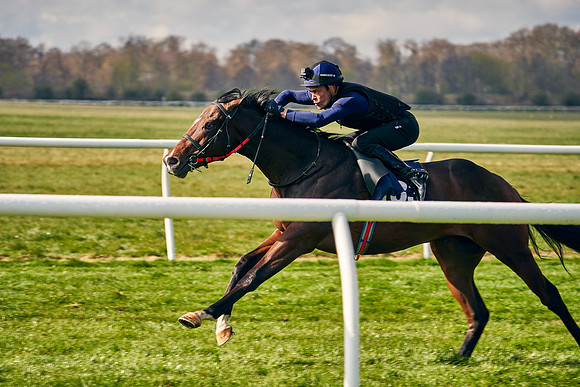 2021-04-12-Dominic-James-Craven-Breeze-Up-Sales-0192
